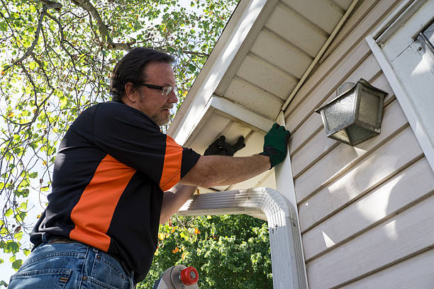 Best Hoarding Cleanup  in Lakeview, NY